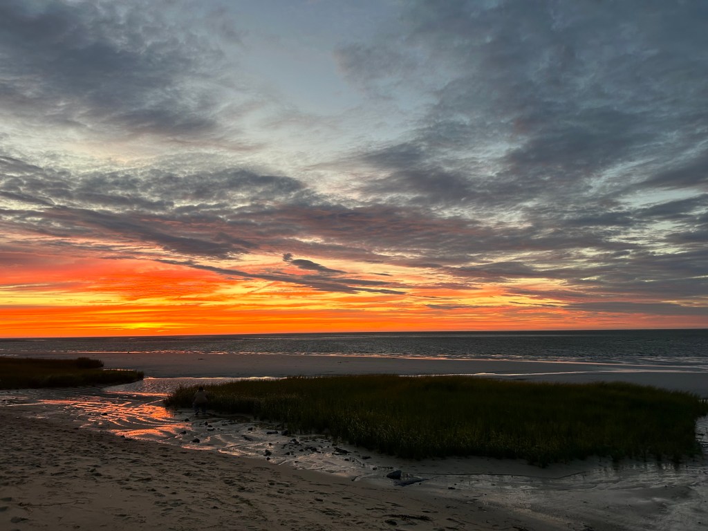 The Quiet Peace of&nbsp;Forgiveness